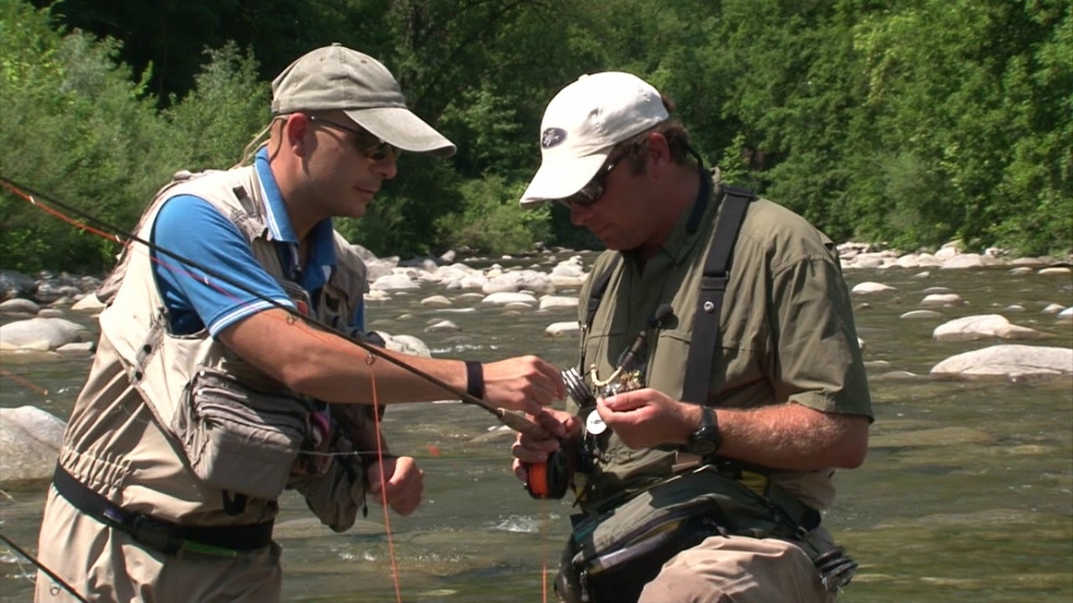 Our Guides